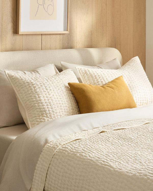 Comforters & Pillows