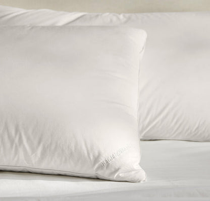 Feather Down Decorative Pillow Insert (22x22)