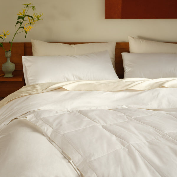 Featherweight Bed Blanket