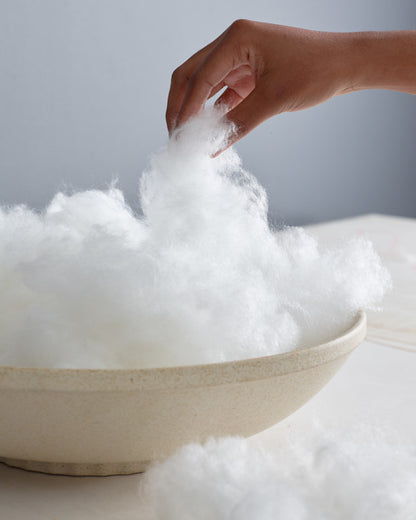 Premium Down Alternative Pillow