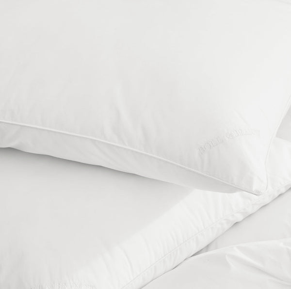 Feather Down Decorative Pillow Insert (20x20)