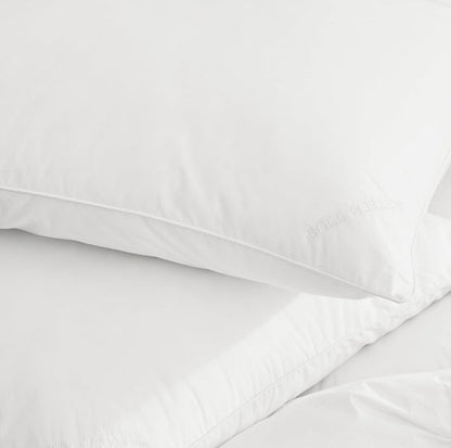 Feather Down Decorative Pillow Insert (20x20)