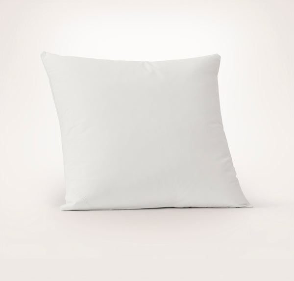 Feather Down Decorative Pillow Insert (22x22)