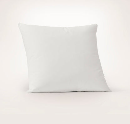 Feather Down Decorative Pillow Insert (22x22)