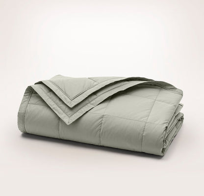 Down Alternative Quilted Bed Blanket