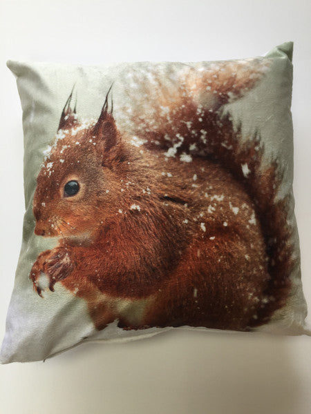 Squirrel C/Cover 43X43 Multi
