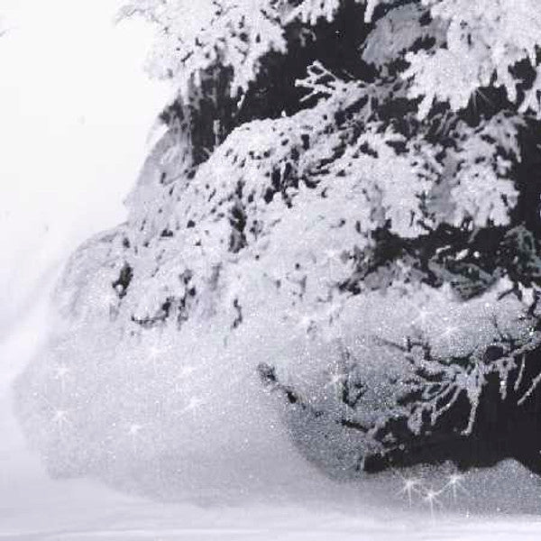 Winter Sparkle Duvet Set